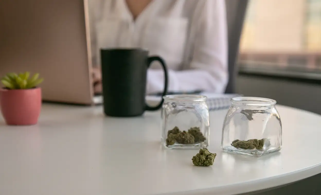 Cannabis in jars